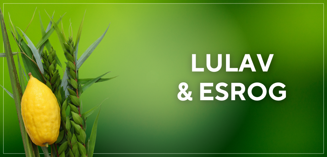 Lulav