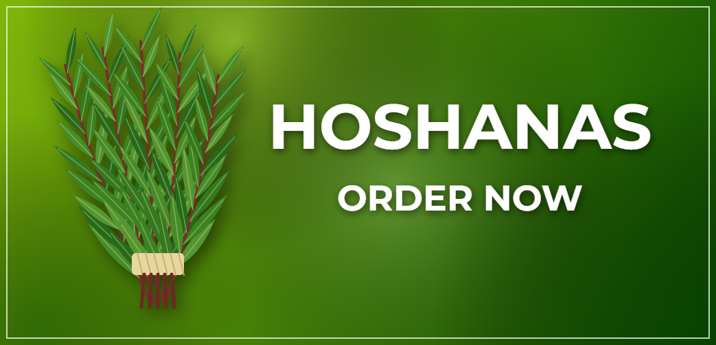 Hoshanas
